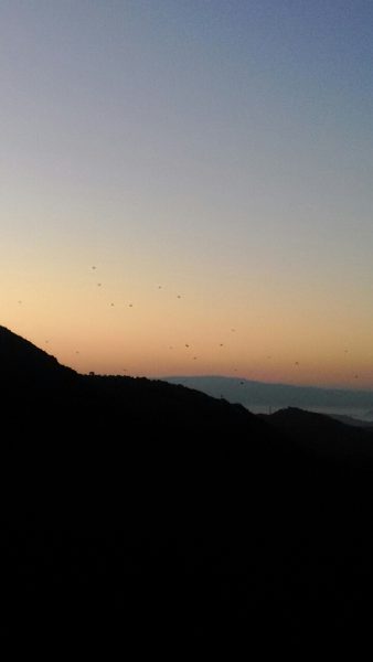 Screenshot_2017-01-01-08-30-08