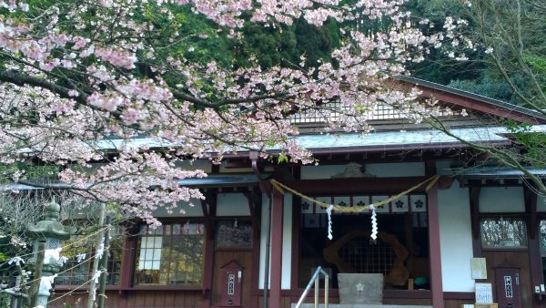 P_20170213_092158_vHDR_Auto