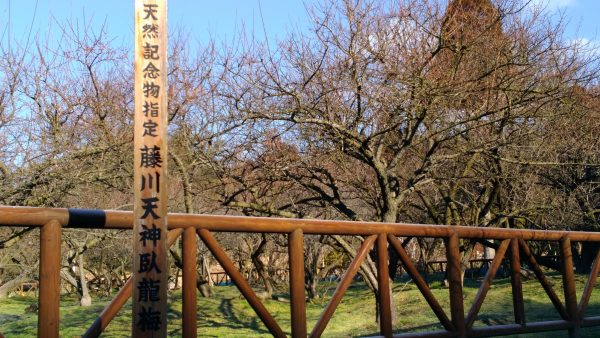 P_20170213_092603_vHDR_Auto