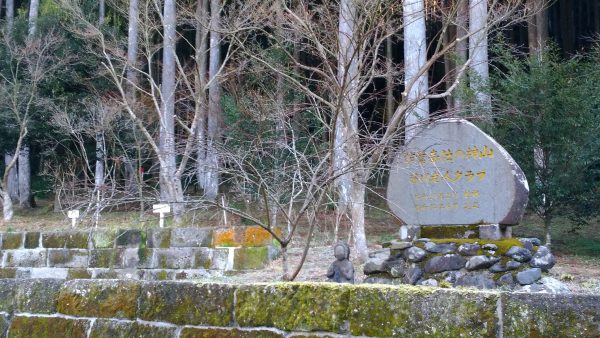 P_20170213_092755_vHDR_Auto