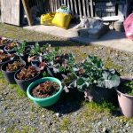 P_20170213_141900_vHDR_Auto