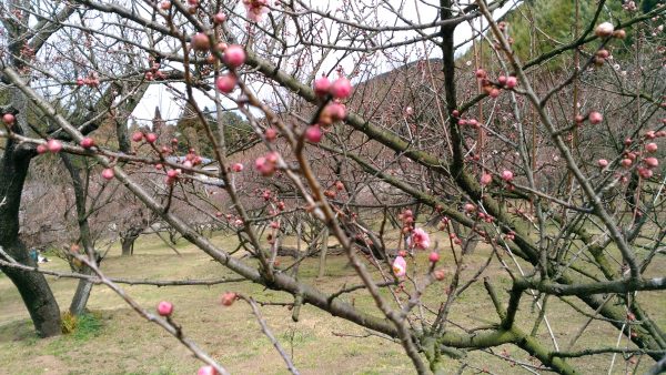 P_20170218_123947_vHDR_Auto