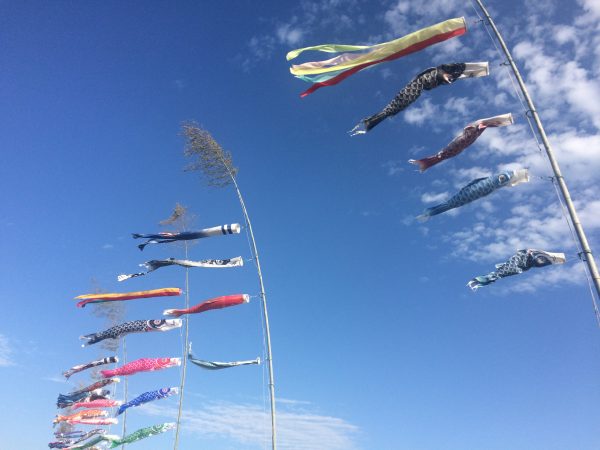 Photo 2017-04-14 16 47 29