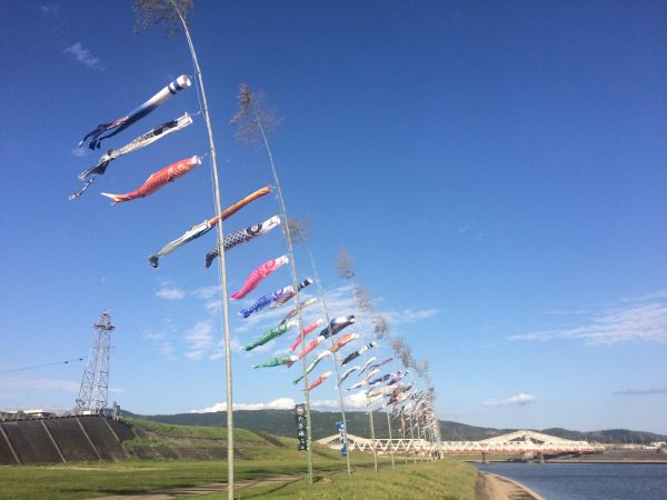 Photo 2017-04-14 16 48 42