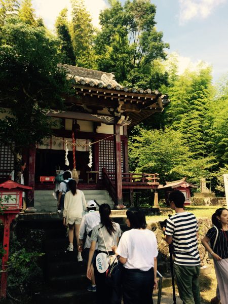 Photo 2017-07-15 13 58 25