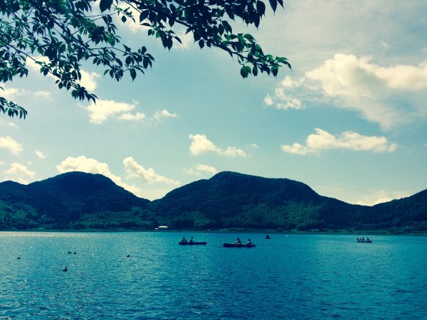 Photo 2017-07-15 15 01 22