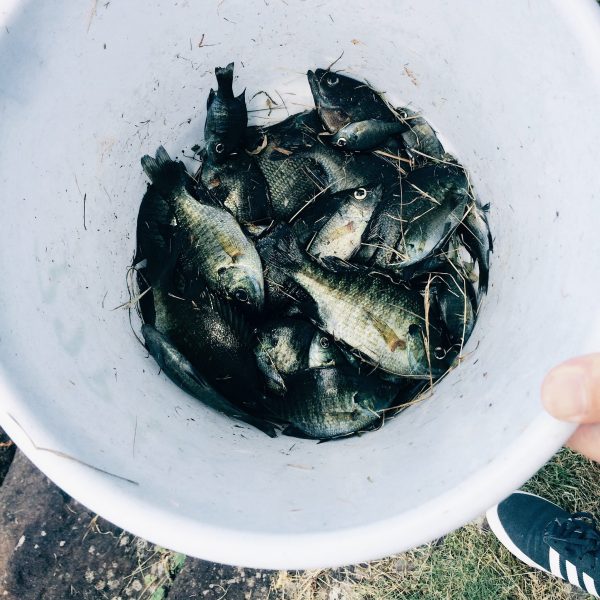 Photo 2017-07-15 20 56 35