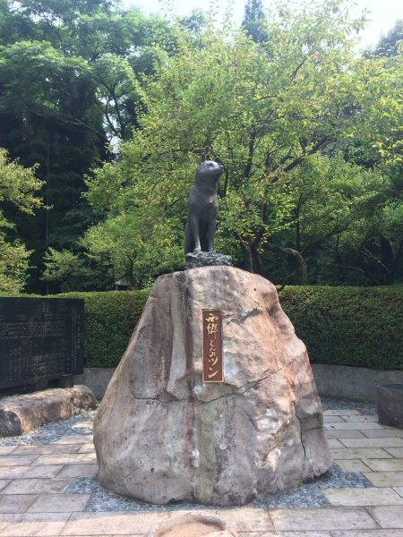 Photo 2017-07-27 15 04 04