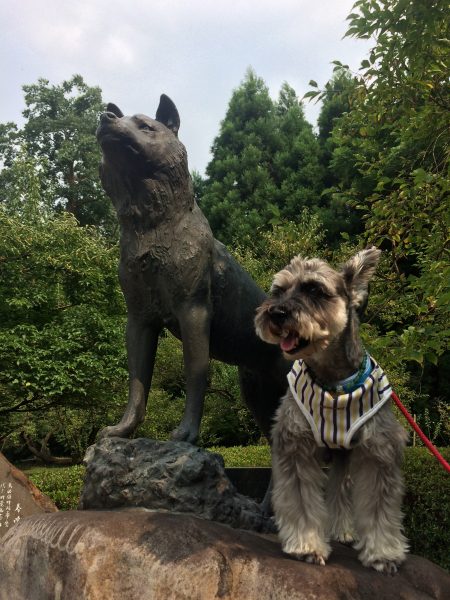 Photo 2017-07-27 15 05 04