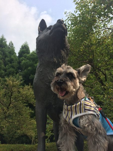 Photo 2017-07-27 15 06 01