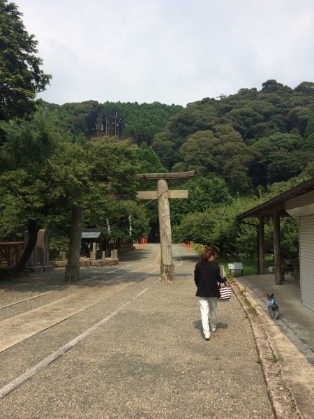 Photo 2017-07-27 15 08 34