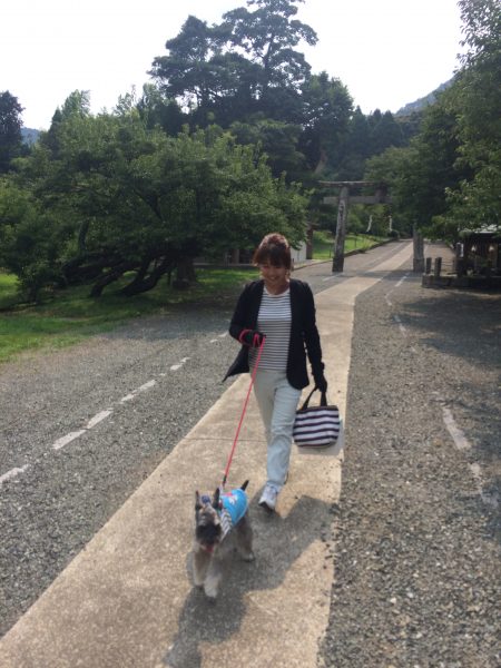 Photo 2017-07-27 15 09 50