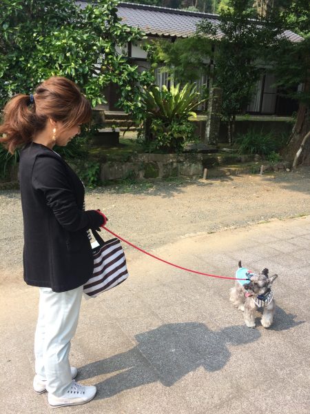 Photo 2017-07-27 15 10 31