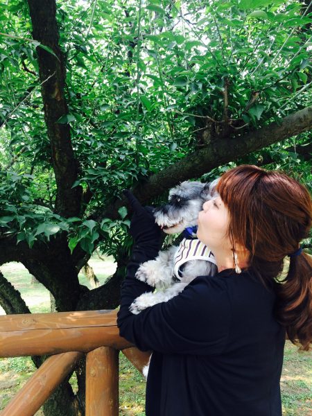 Photo 2017-07-27 15 20 42