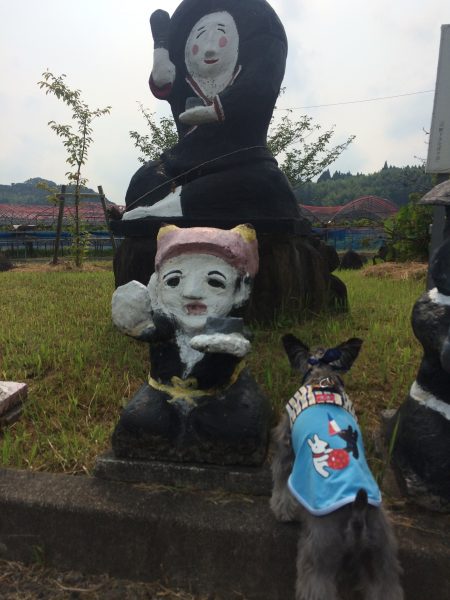 Photo 2017-07-27 15 36 49