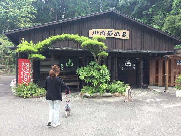 Photo 2017-07-27 15 59 47