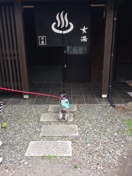 Photo 2017-07-27 16 01 15