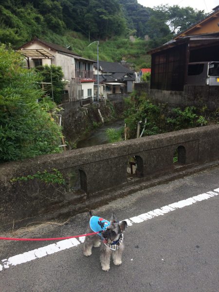 Photo 2017-07-27 16 09 28