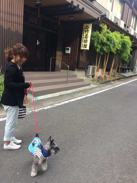 Photo 2017-07-27 16 10 41