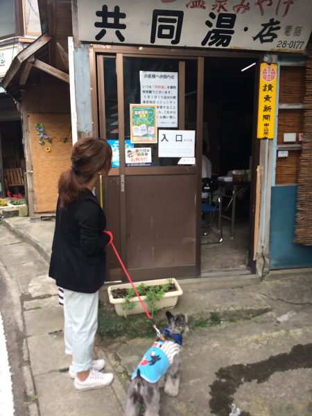 Photo 2017-07-27 16 17 29