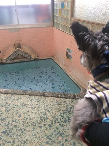 Photo 2017-07-27 16 20 41