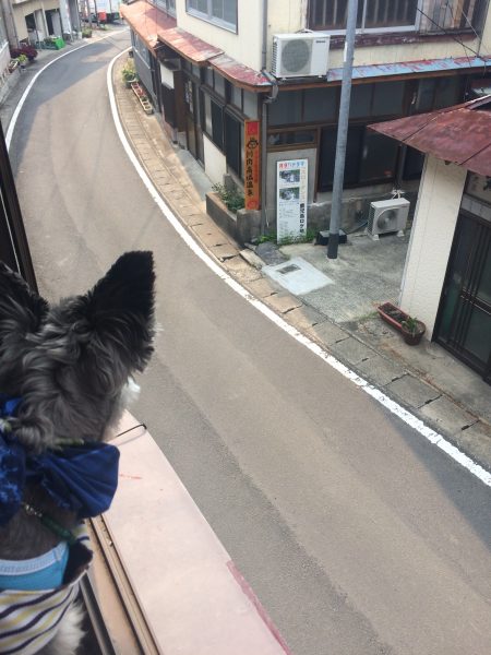 Photo 2017-07-27 16 21 38