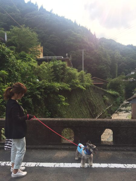 Photo 2017-07-27 16 50 45