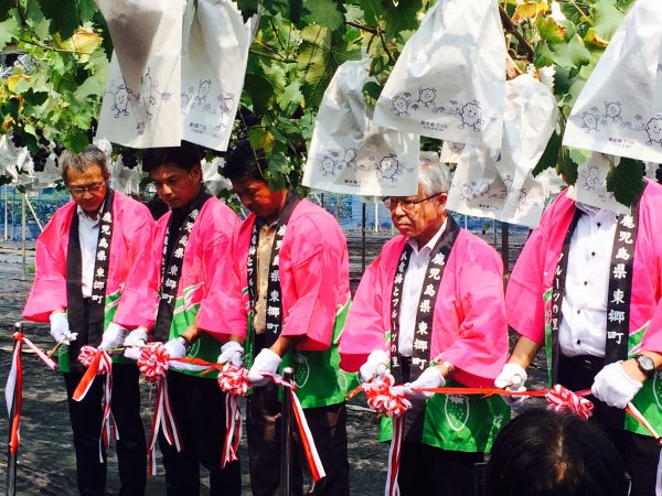 Photo 2017-07-28 10 08 22