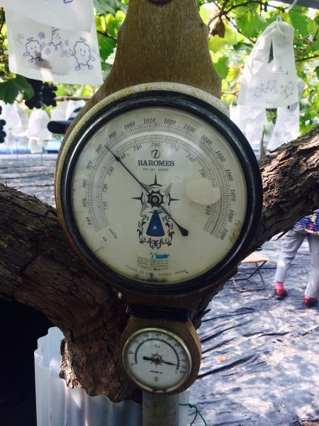 Photo 2017-07-28 10 20 49