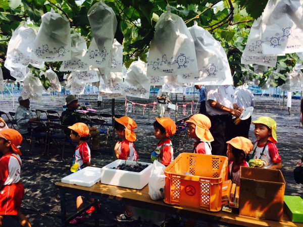 Photo 2017-07-28 9 53 00