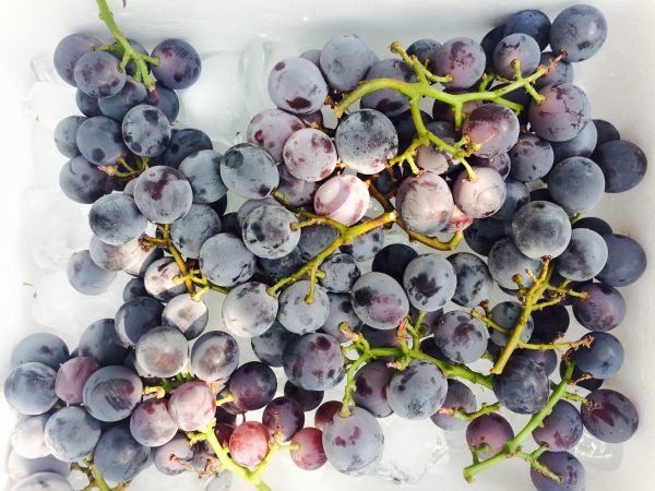 Photo 2017-07-28 9 53 24