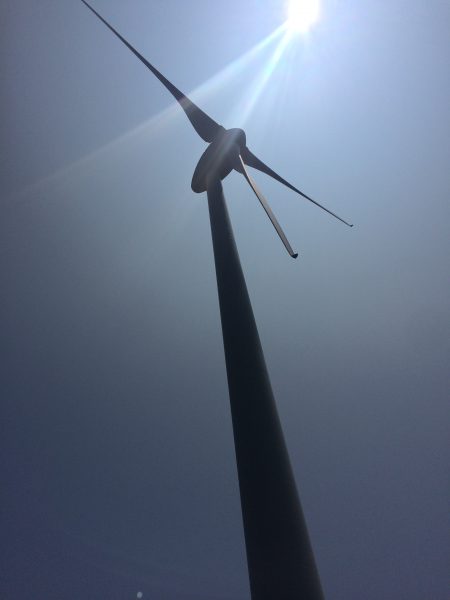 Photo 2017-07-30 12 40 33