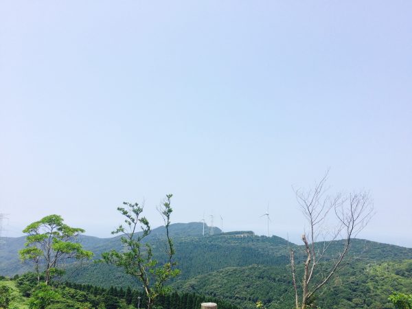 Photo 2017-07-30 12 41 09