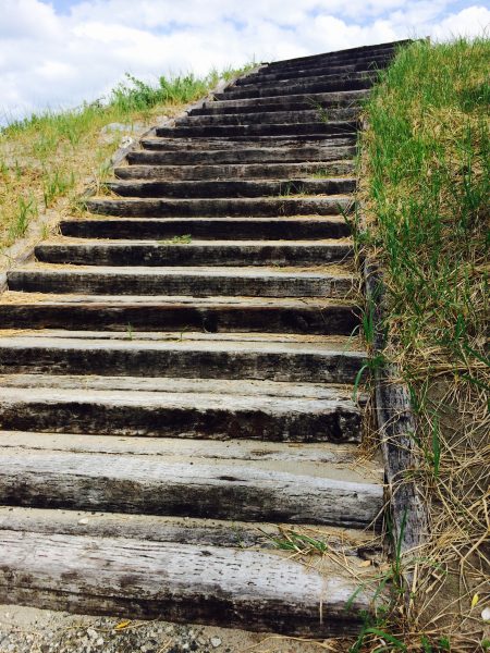 Photo 2017-08-04 10 00 46