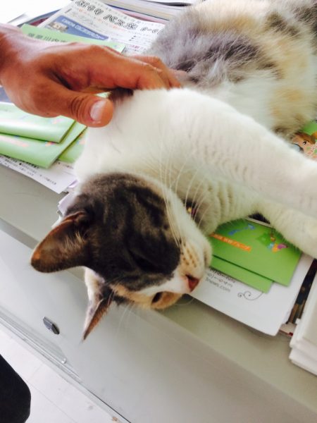 Photo 2017-08-04 13 17 12