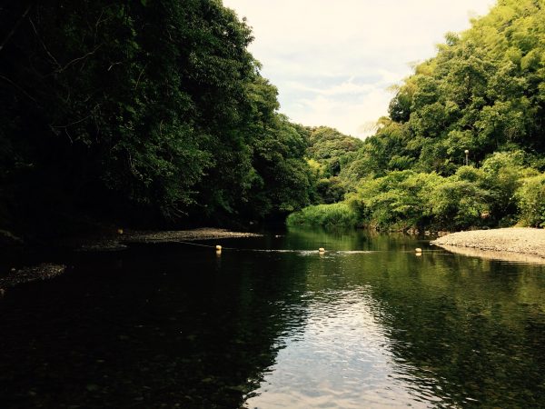 Photo 2017-08-04 14 47 39