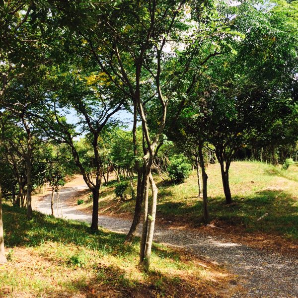 Photo 2017-08-04 9 48 31