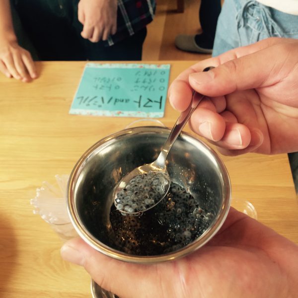 Photo 2017-08-27 12 26 19