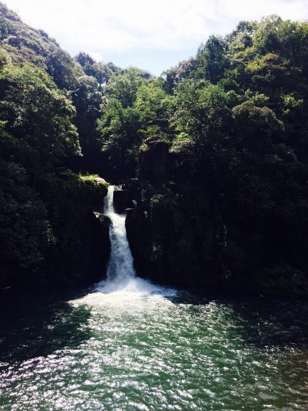 Photo 2017-09-23 11 01 09