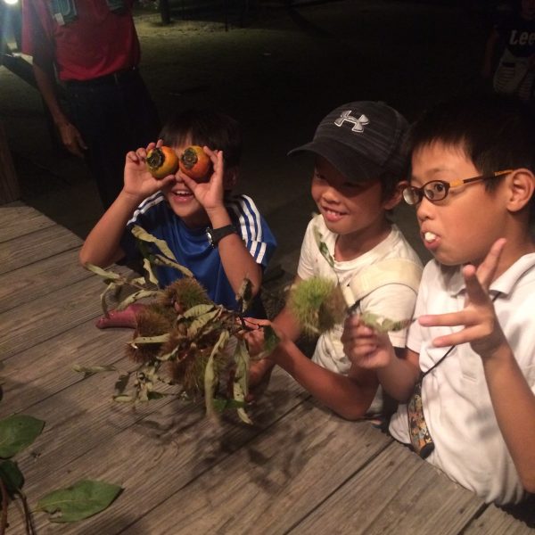 Photo 2017-10-04 20 05 14