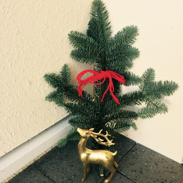 Photo 2017-11-28 13 22 01