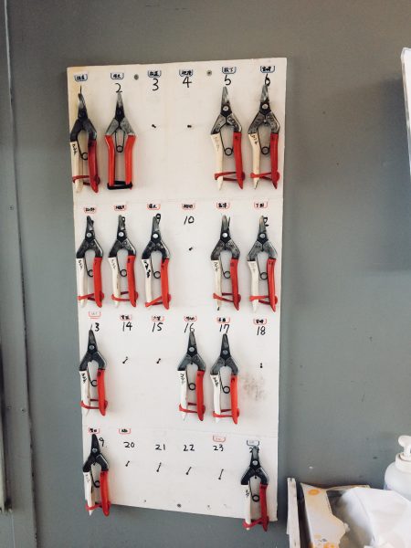 Photo 2018-01-06 14 42 51