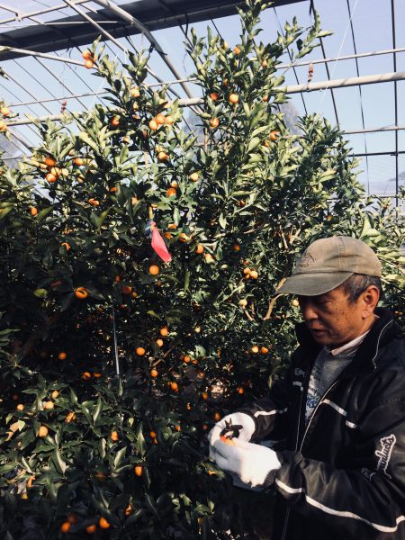 Photo 2018-01-06 14 47 01