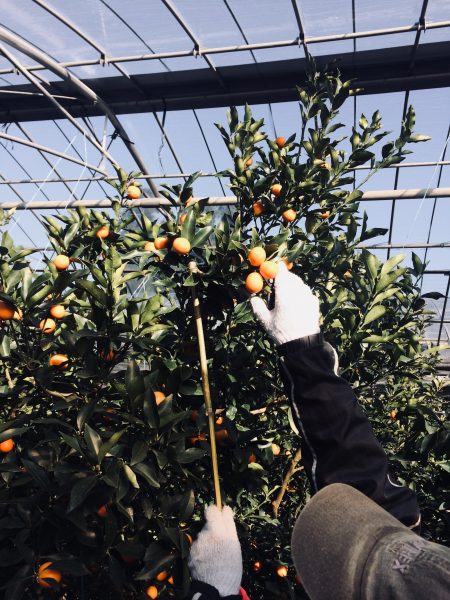 Photo 2018-01-06 14 47 21