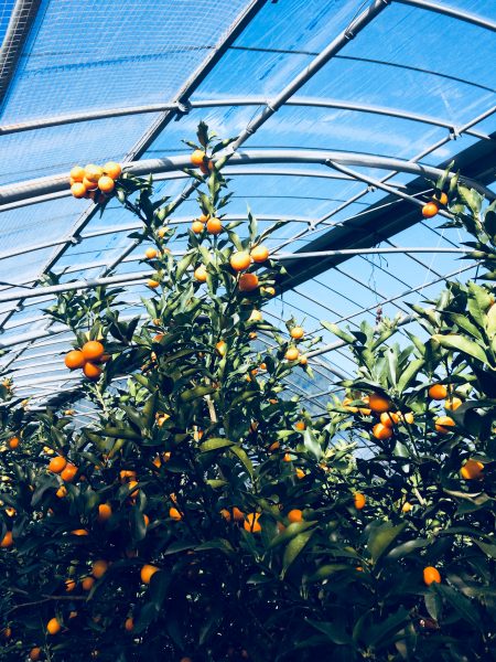 Photo 2018-01-06 14 47 26