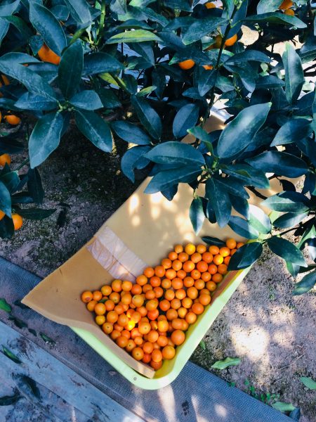 Photo 2018-01-06 14 47 49