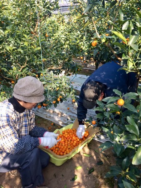 Photo 2018-01-06 14 48 25