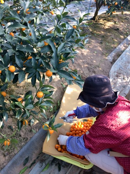 Photo 2018-01-06 14 48 31