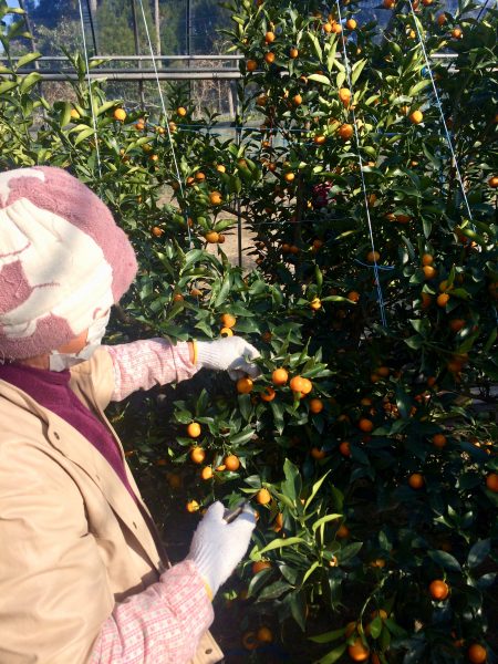 Photo 2018-01-06 14 50 24