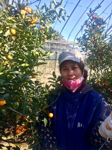 Photo 2018-01-06 14 55 49